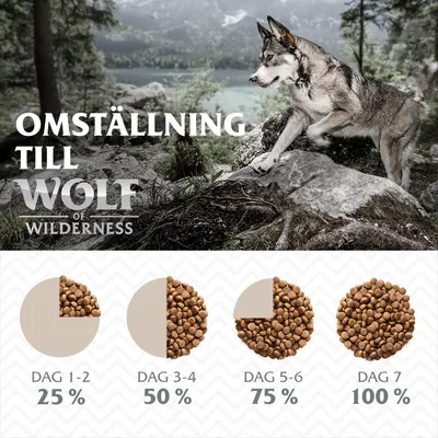 Omställning till Wolf of Wilderness. Utfodringsschema: dag 1–2 25 %, dag 3–4 50 %, dag 5–6 75 %, dag 7 100 %.