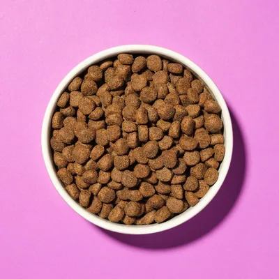 Bowl filled with dry brown kibble pieces, shown from above on a pink background.