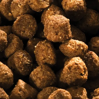 Croquetas redondas de pienso seco para mascotas, color marrón, textura granulada. Imagen en primer plano sin marca ni envase visible.