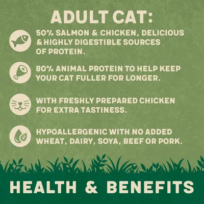 Adult cat food with 50% salmon and chicken, 80% animal protein, freshly prepared chicken, hypoallergenic, no added wheat, dairy, soya, beef or pork. Health and benefits listed.