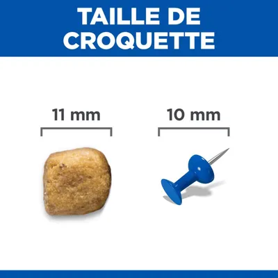 Comparaison de la taille des croquettes : une croquette de 11 mm de diamètre à côté d'une punaise de 10 mm de diamètre.