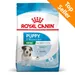 Royal Canin Mini Puppy Crocchette per cane