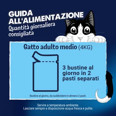 Maxi formato: Felix Le Ghiottonerie 120 x 85 g - Senior Maxi formato: Felix Le Ghiottonerie 120 x 85 g - Senior