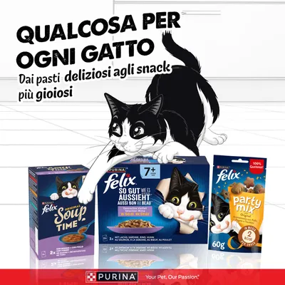 Maxi formato: Felix Le Ghiottonerie 120 x 85 g - Senior Maxi formato: Felix Le Ghiottonerie 120 x 85 g - Senior