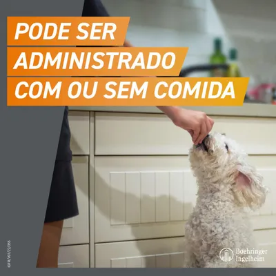 Pode ser administrado com ou sem comida. Boehringer Ingelheim.