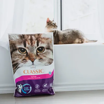 Sac de litière pour chat Classic, texte visible : Baby Powder, Triple Action, Odour Control, Hard Clumping. Photo d’un chat sur le sac et chat allongé à côté.
