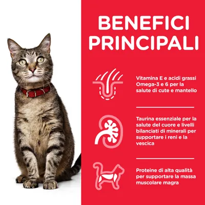 BENEFICI PRINCIPALI: Vitamina E e Omega-3/6 per cute e mantello, taurina per cuore e reni, proteine di alta qualità per la massa muscolare magra. Testo in italiano.