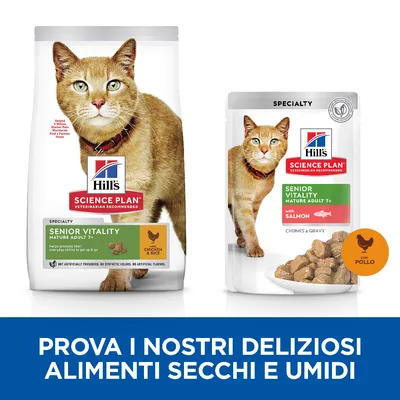 Hill's Science Plan Senior Vitality Mature Adult 7+ per gatti, confezioni di alimento secco con pollo e riso e umido con salmone. Testo: Prova i nostri deliziosi alimenti secchi e umidi.