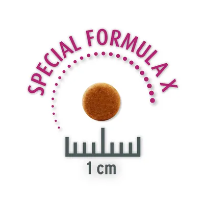 Kroketten-Grösse: 1 cm Durchmesser. Text: Special Formula X.