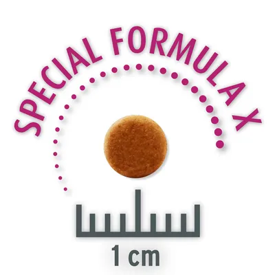 Special Formula X. Изображение на размера на гранулите: диаметър 1 см.