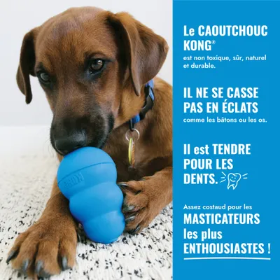 KONG bleu en caoutchouc, non toxique, sûr, naturel et durable. Ne se casse pas en éclats, doux pour les dents, robuste pour les mâcheurs puissants. KONG bleu en caoutchouc, non toxique, sûr, naturel et durable. Ne se casse pas en éclats, doux pour les dents, robuste pour les mâcheurs puissants.