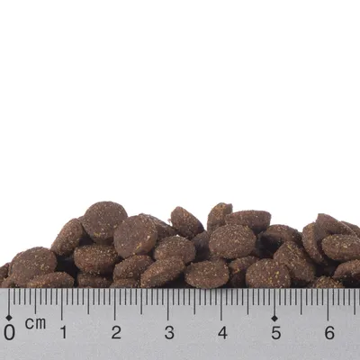 Smeđe okrugle granule suhe hrane za kućne ljubimce prikazane uz ravnalo s centimetarskom skalom od 0 do 6 cm radi prikaza veličine granula.