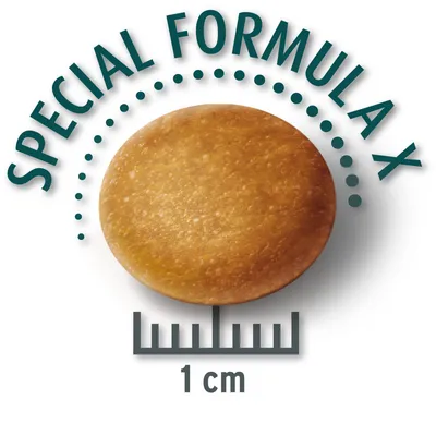 Krokettien koko 1 cm, Special Formula X. Pyöreä, ruskea kroketti mitta-asteikon vieressä koon näyttämiseksi.