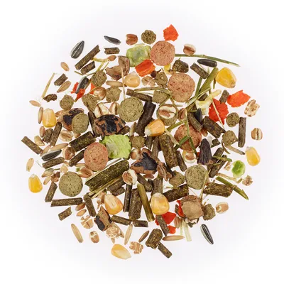 Mélange d’aliments pour rongeurs avec granulés, flocons de maïs, graines de tournesol, morceaux de légumes séchés et céréales visibles sur fond blanc.