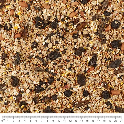 Närbild av fågelmat med frön, kärnor, nötter och torkad frukt. Linjal nedtill visar längd i centimeter upp till 21 cm.