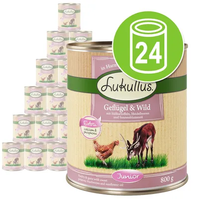Økonomipakke Lukullus Junior 24 x 800 g