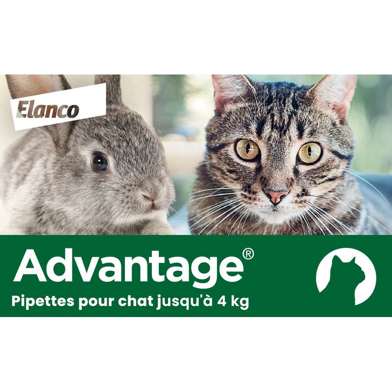 Pipettes Advantage 40