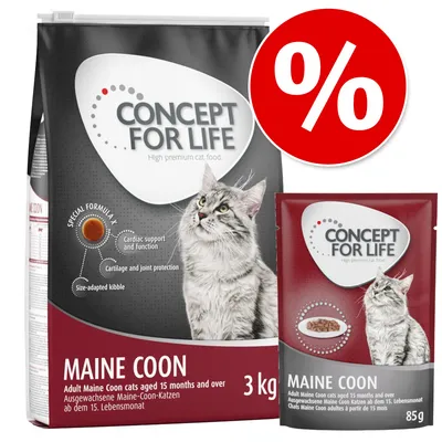 Concept for Life Maine Coon macskaeledel, 3 kg és 85 g csomagolásban, látható Maine Coon macskával. Akciót jelző piros százalékos kör a képen.