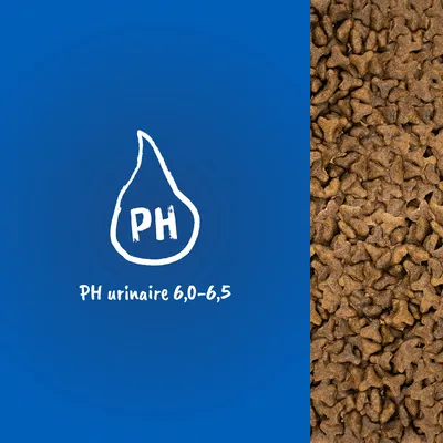 Croquettes en gros plan, texte visible : PH urinaire 6,0–6,5