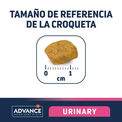 Tamaño de referencia de la croqueta Advance Veterinary Diets Urinary: imagen de una croqueta junto a regla en centímetros, longitud aproximada 1 cm.