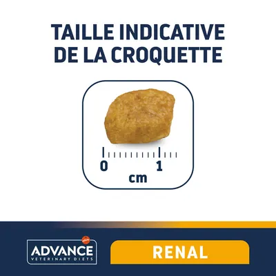 Taille indicative de la croquette Advance Veterinary Diets Renal : environ 1 cm, croquette visible avec règle graduée en centimètres.