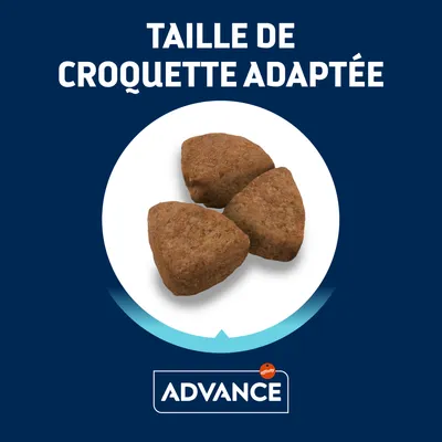 Taille de croquette adaptée, trois croquettes triangulaires visibles, marque Advance affichée en bas de l’image.
