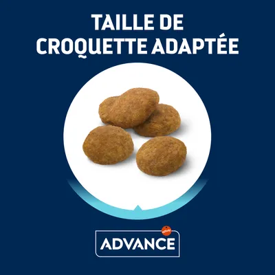 Taille de croquette adaptée, quatre croquettes visibles sur fond blanc, marque Advance Affinity affichée en bas de l’image.