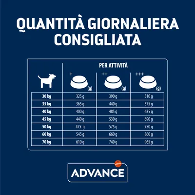 Tabella quantità giornaliera consigliata Advance per cani da 30 a 70 kg, suddivisa per livello di attività: +, ++, +++. Esempio: 30 kg, 325–510 g; 70 kg, 610–965 g.