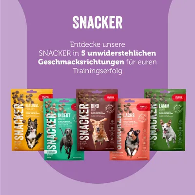 Snack per cani Mera SNACKER in 5 gusti: Geflügel, Insekt, Rind, Lachs, Lamm. Testo in tedesco: scopri SNACKER in 5 irresistibili gusti per il successo dell’addestramento.