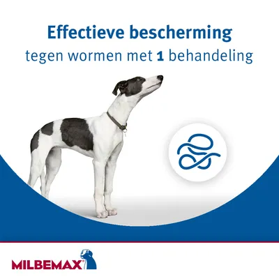 Effectieve bescherming tegen wormen met 1 behandeling. MILBEMAX.