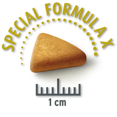 Trójkątny kawałek suchej karmy z napisem 'Special Formula X' i oznaczeniem 1 cm.