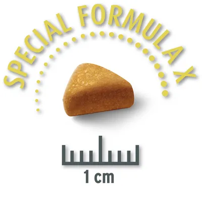 Kolmionmuotoinen kuivaruokanappula, koko 1 cm, tekstillä 'Special Formula X'.