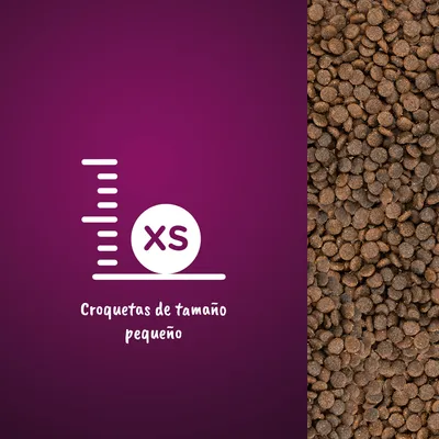 Croquetas de tamaño pequeño XS. Imagen de croquetas marrones y texto: Croquetas de tamaño pequeño.