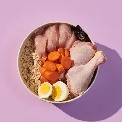 Bowl containing raw chicken breast, chicken drumstick, sliced carrots, brown rice, hard-boiled egg halves and a dark vegetable, showing visible ingredients of the product.