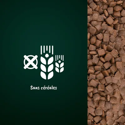 Texte « Sans céréales » avec symbole d’épi barré à gauche, croquettes marron visibles à droite. Texte en français (fr_BE).