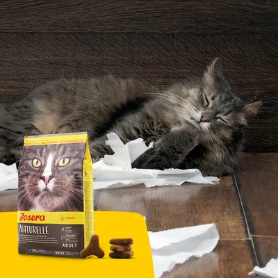 Bolsa de pienso para gatos Josera Naturelle ADULT junto a croquetas y un gato gris tumbado. En el envase se ve la cara de un gato y texto: 'STERILISED', 'MADE IN GERMANY', '35/12'.