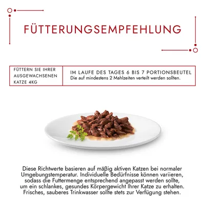 Ruokintaohje aikuiselle kissalle 4 kg: päivän aikana 6–7 annospussia, jaettuna vähintään kahteen ateriaan. Teksti saksaksi. Kuvassa lautasella kastikkeessa olevaa kissanruokaa.