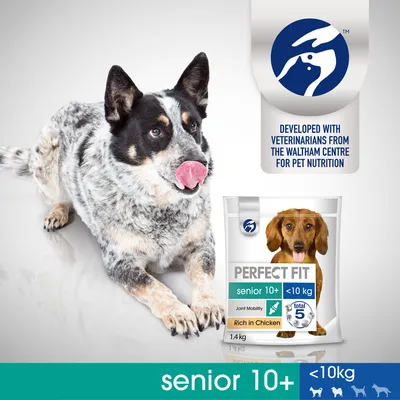 PERFECT FIT senior 10+ <10 kg dog food, Rich in Chicken, Joint Mobility, total 5, 1.4 kg. Developed with veterinarians from the Waltham Centre for Pet Nutrition. Visible dog beside pack.