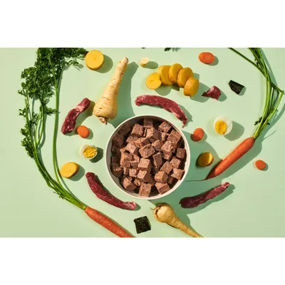 Bowl of cubed pet food surrounded by raw meat strips, carrots, parsnips, potatoes, boiled egg halves and vegetable slices, showing visible ingredients used in the product.