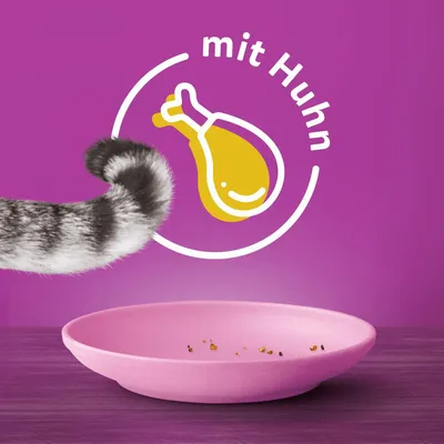 Иллюстрация с жёлтым куриным окорочком и надписью «mit Huhn» на фиолетовом фоне. Розовая миска с остатками, виден кошачий хвост.