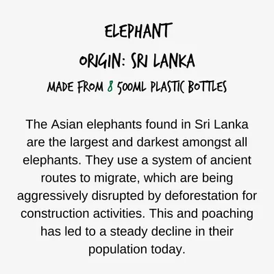 Elephant from Sri Lanka, made from eight 500ml plastic bottles. Asian elephants in Sri Lanka are the largest and darkest, facing population decline due to deforestation and poaching.