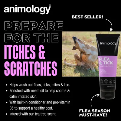 Animology Flea & Tick shampoo helps wash out fleas, ticks, mites and lice, soothes skin with neem oil, contains conditioner and pro-vitamin B5, and is infused with tea tree scent.