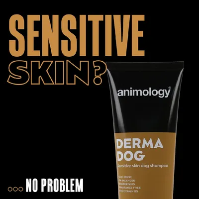 Text reads: Sensitive skin? No problem. Animology Derma Dog sensitive skin dog shampoo, easy rinse, pH balanced, deodorising, fragrance free, pro vitamin B5.