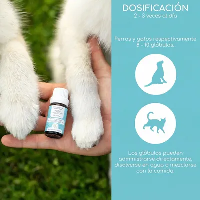 Wolfsbacher Natur Flores de Bach para mascotas Wolfsbacher Natur Flores de Bach para mascotas