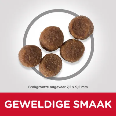Vijf ronde brokken, tekst: Brokgrootte ongeveer 7,5 × 9,5 mm. GEWELDIGE SMAAK.