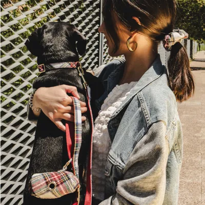 Chien noir tenu dans les bras, portant un collier et une laisse à motif écossais rouge avec pochette assortie. Personne en veste en jean visible de profil.