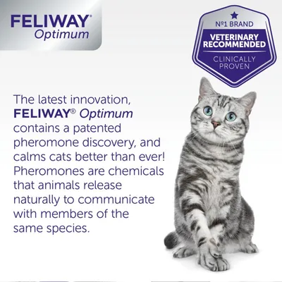 FELIWAY Optimum contains a patented pheromone discovery, calms cats better than ever, and is veterinary recommended and clinically proven. Pheromones help animals communicate.