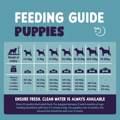 Feeding guide for puppies showing daily food amounts by weight and age. Includes advice to provide fresh water, switch to adult food at 12 months, and split meals based on age.