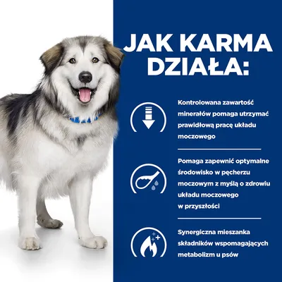 Jak karma działa: kontrolowana zawartość minerałów wspiera układ moczowy, optymalne środowisko w pęcherzu, synergiczna mieszanka składników wspomaga metabolizm u psów.