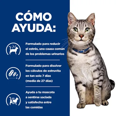 Texto: Cómo ayuda. Formulado para reducir el estrés, disolver cálculos de estruvita en 7 días y ayudar a sentirse saciada entre comidas. Imagen de gato gris con collar azul.